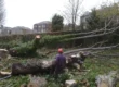 Site clearance in Dundee.