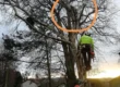 Emergency tree work services in Dundee and North Fife.